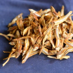 CHAPA SUTKI (BD)