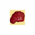 BEEF KIDNEY