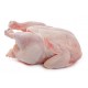 CHICKEN WHOLE