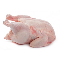 CHICKEN WHOLE
