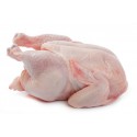 CHICKEN WHOLE