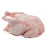 CHICKEN WHOLE